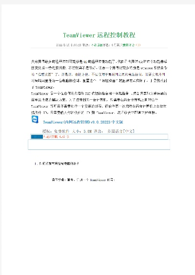 teamviewer远端控制版本,精细设计方案_超值版_v6.822