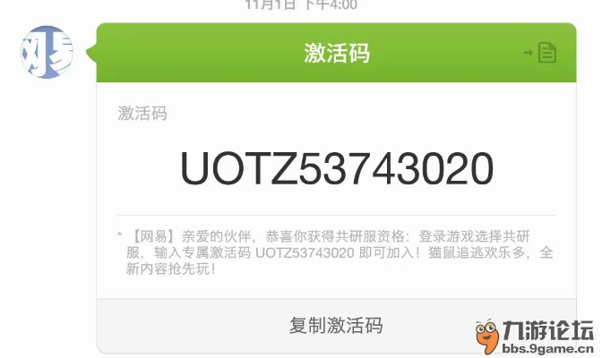 多益网络手游或我皮肤激活码,全面数据执行方案|eShop1_v8.486